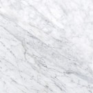 Carrara White ( C ) 12X12 Honed