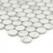 Carrara Penny Round Matte Porcelain Mosaic Tile-2