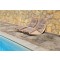 Silver Travertine Paver 6X12 Honed Unfilled Tumbled